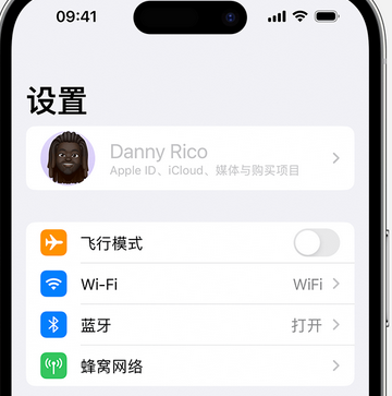 兴宾appleID维修服务iPhone设置中Apple ID显示为灰色无法使用 