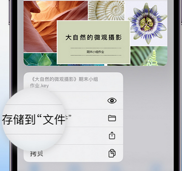 兴宾apple维修中心分享iPhone文件应用中存储和找到下载文件