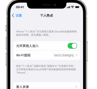 兴宾apple服务站点分享iPhone上个人热点丢失了怎么办 