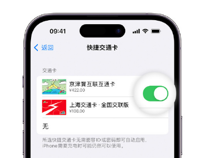 兴宾apple维修点分享iPhone上更换Apple Pay快捷交通卡手绘卡面 