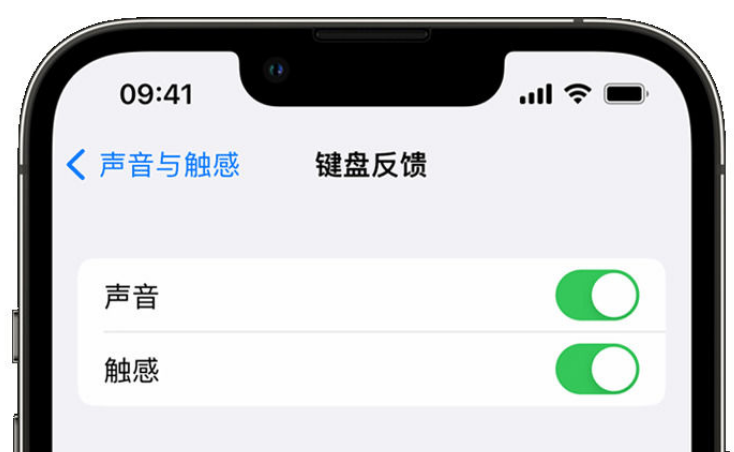 兴宾苹果手机维修分享iPhone 14触感键盘使用方法 