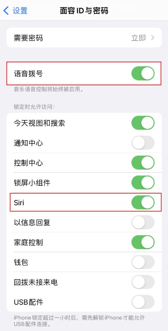 兴宾苹果维修网点分享不解锁 iPhone 的情况下通过 Siri 拨打电话的方法 