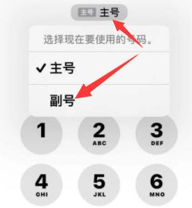 兴宾苹果14维修店分享iPhone 14 Pro Max使用副卡打电话的方法 