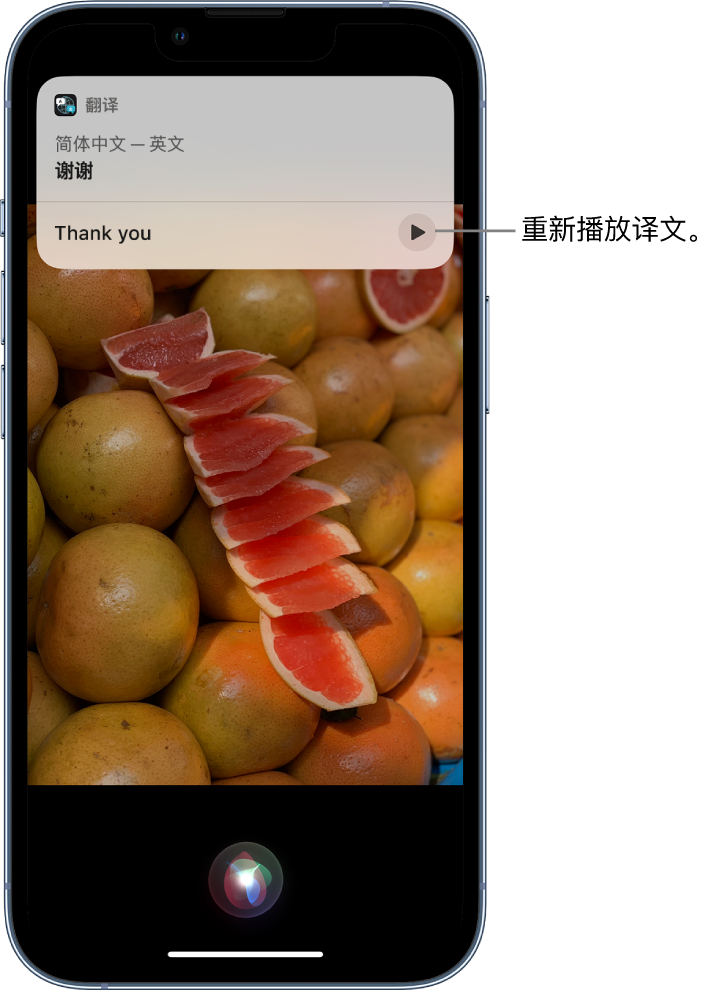 兴宾苹果14维修分享 iPhone 14 机型中使用 Siri：了解 Siri 能帮你做什么 