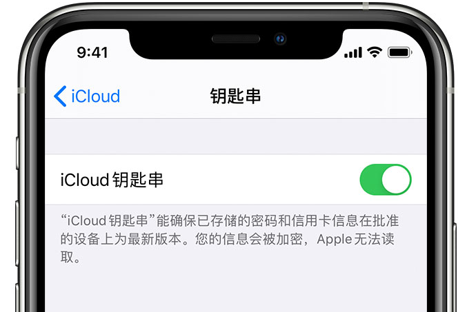 兴宾苹果手机维修分享在 iPhone 上开启 iCloud 钥匙串之后会储存哪些信息 