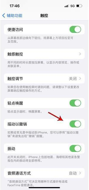 兴宾苹果手机维修分享iPhone手机如何设置摇一摇删除文字 